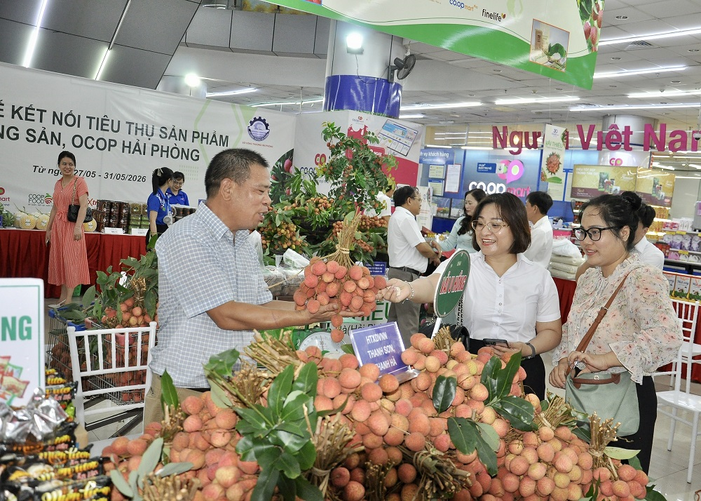 Saigon Co.op ưu đãi giảm giá đến 20% cho sản phẩm vải thiều Thanh Hà